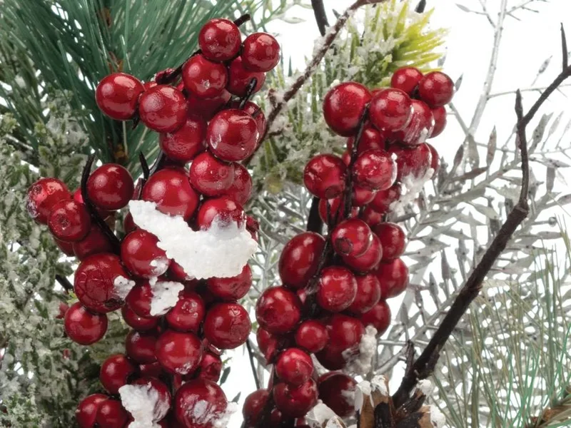 Close-up of snowy red berries with sparkling fern and bare winter twigs