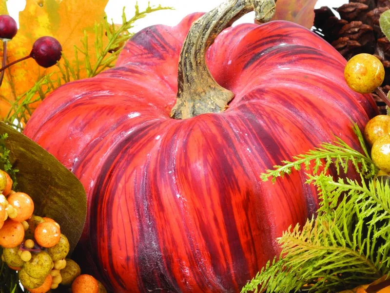 Macro close-up of the ribbed red silk pumpkin with a woody stem