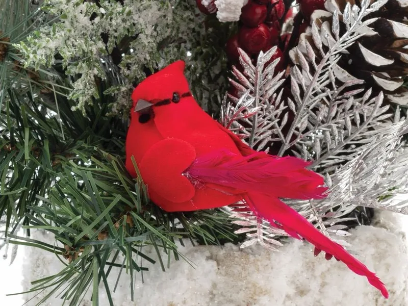 Macro close-up of the red silk cardinal perched on a frosty pine bough