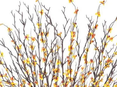 Macro close-up of bare birch sticks branching at the top of the silk arrangement
