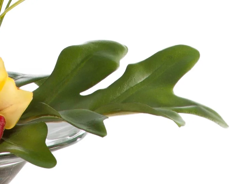 Philodendron foliage forming the structural sweep