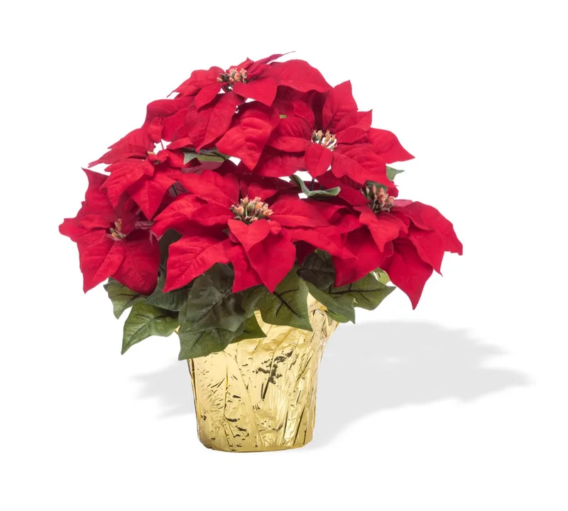 Table Top Silk Poinsettia Plant — product dimensions
