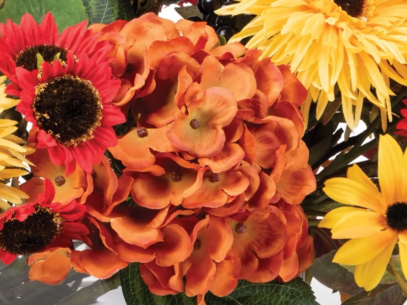 Close-up of the russet silk hydrangea head with zinnias and foliage around it