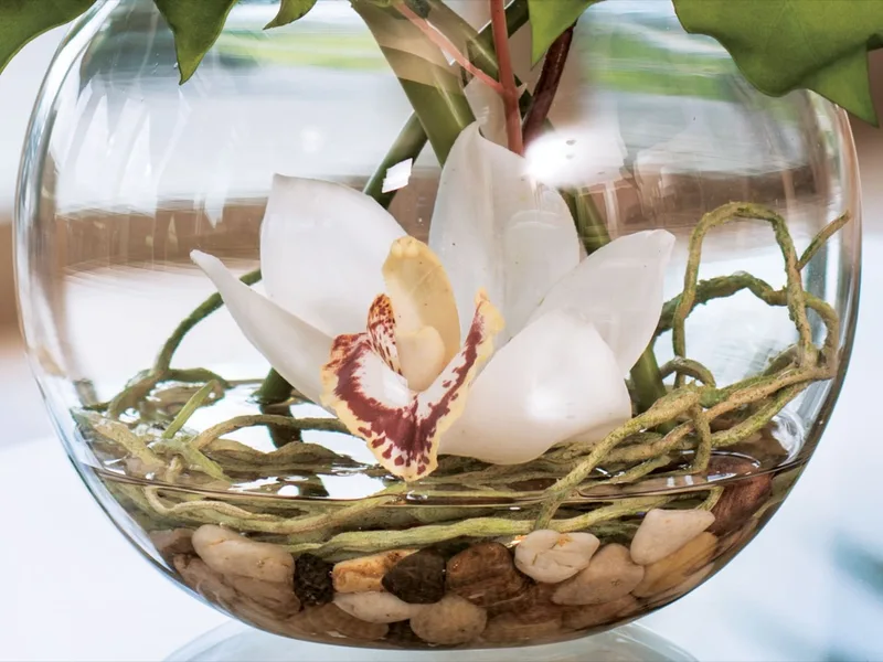 Glass ball vase holding roots, stones and crystal clear acrylic water