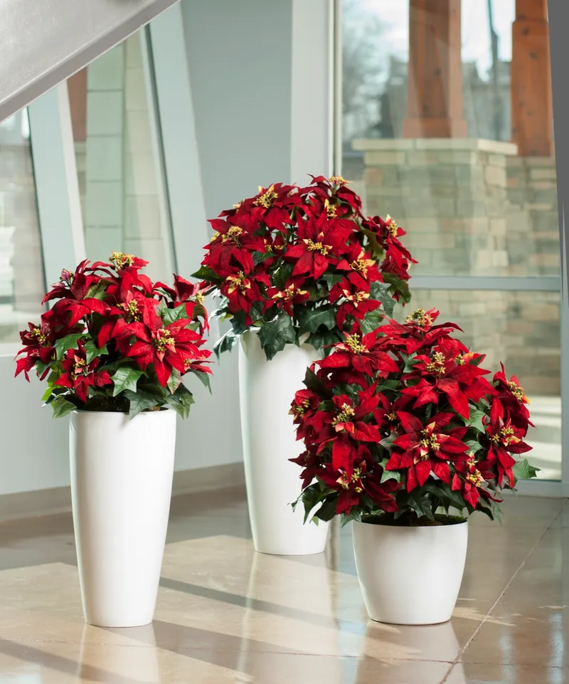 Premier Silk Poinsettias in a hotel lobby