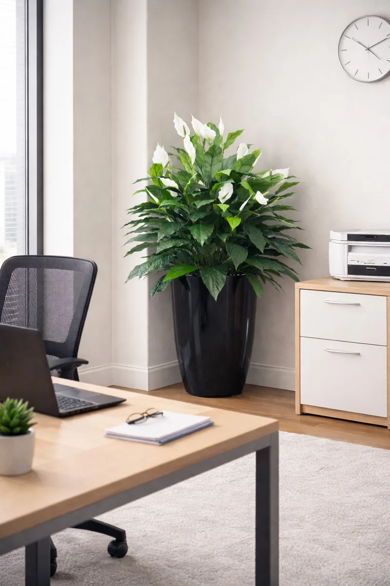 Spathiphyllum silk plant in a home office corner