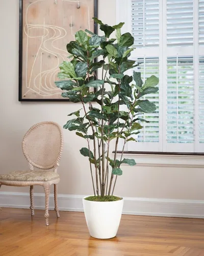 6' Fiddle Leaf Fig Silk Tree
