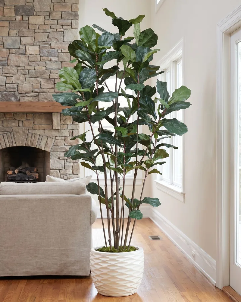 7' Fiddle Leaf Fig silk tree beside a stone fireplace in a living room with high ceilings