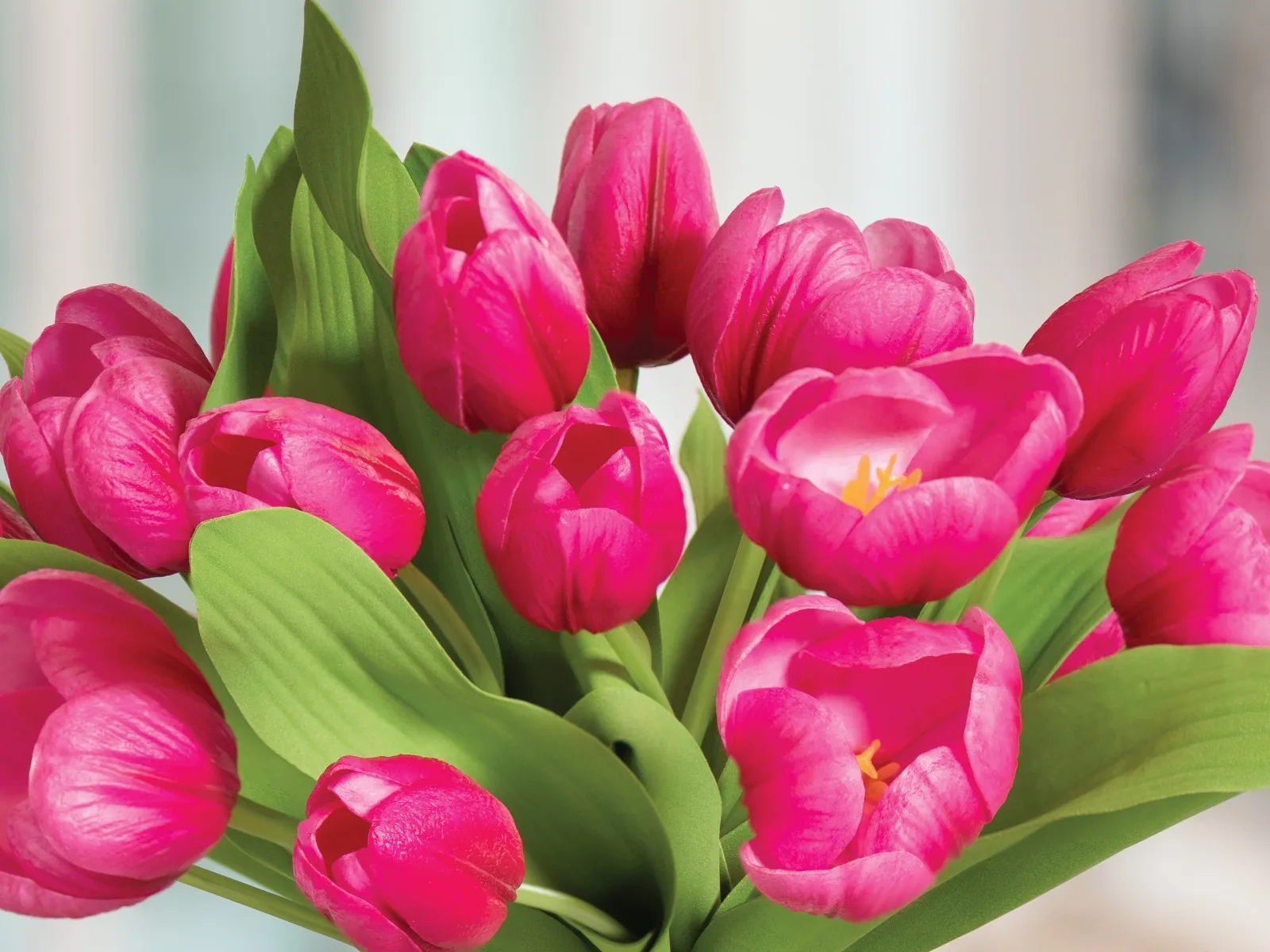 Macro close-up of hand-shaped silk tulip petals showing realistic color gradients