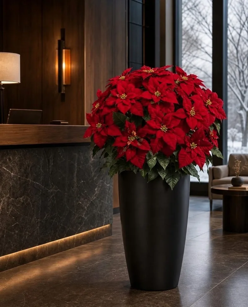 Red Premier Silk Poinsettia in a tall black planter at a hotel reception desk
