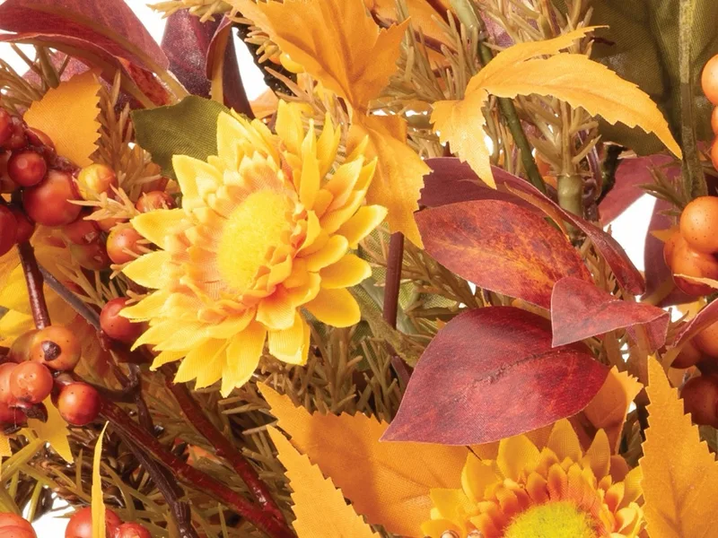 Macro close-up of button mums showing realistic petal texture