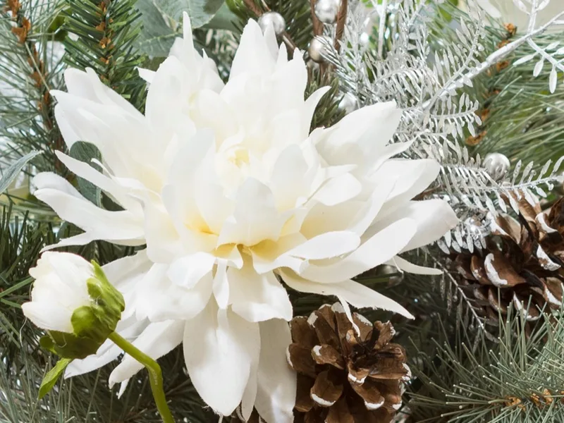Macro close-up of a white silk dahlia with layered petals and a closed bud