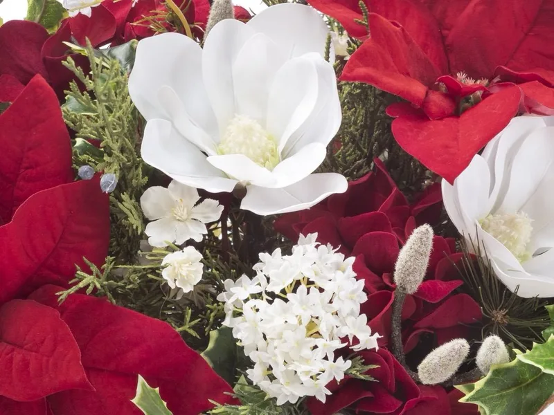 Close-up of a creamy white silk magnolia bloom beside a snowball hydrangea