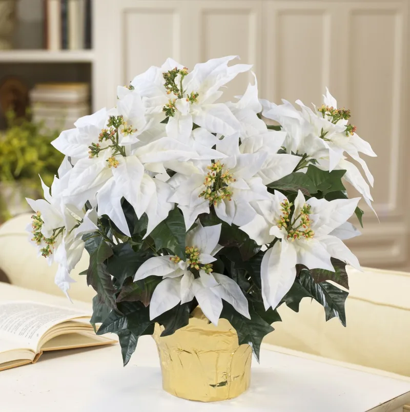 White Premier Silk Poinsettia beside an open book on a side table