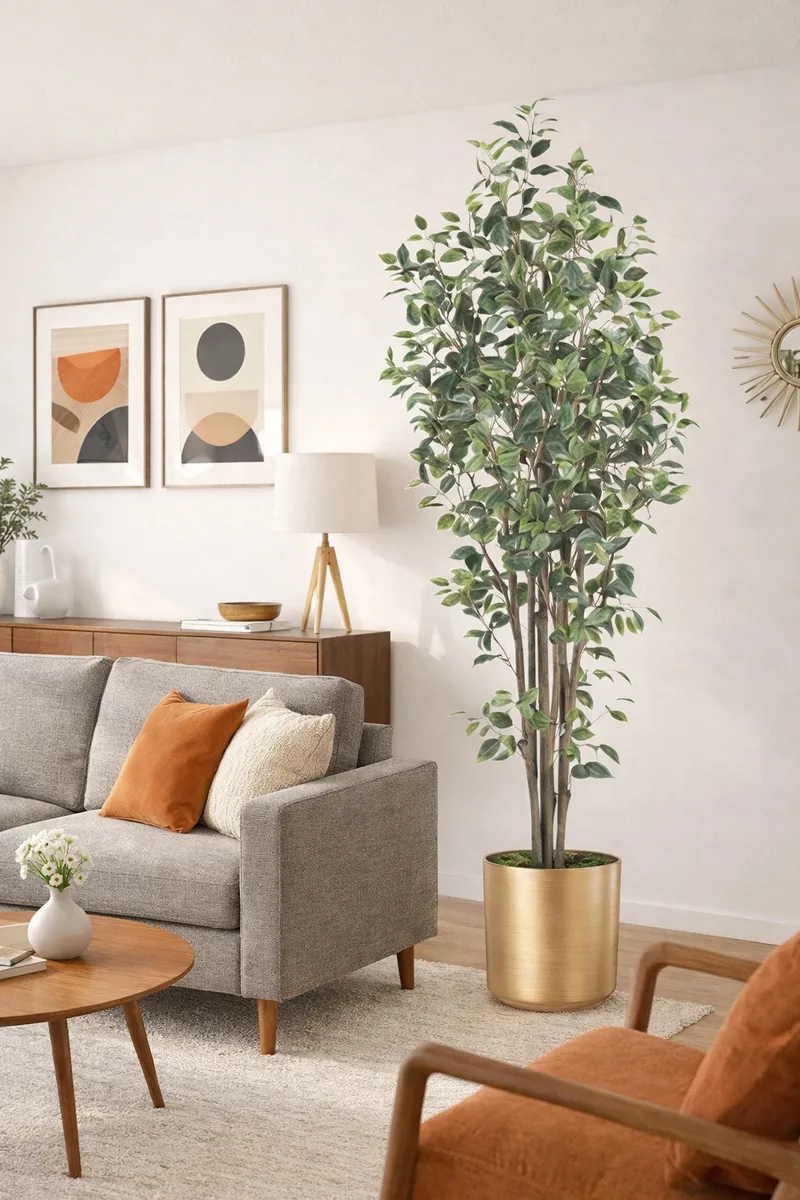 Ficus tree in a mid-century modern living room with warm wood and clean lines