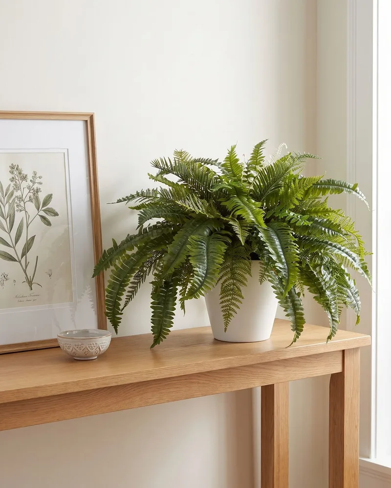 Premier Fern silk plant at the end of an oak entry console beside a framed botanical print