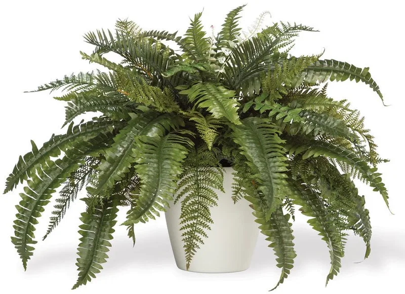 Premier Fern silk foliage planter, product dimensions