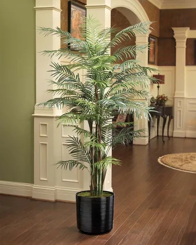7' Reed Palm Silk Tree
