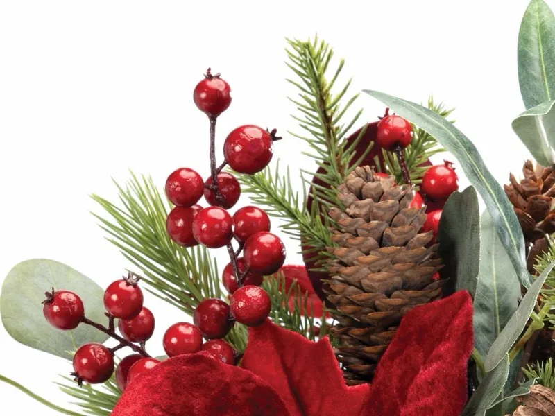 Close-up of glossy red berries and a natural cone among silk pine and eucalyptus