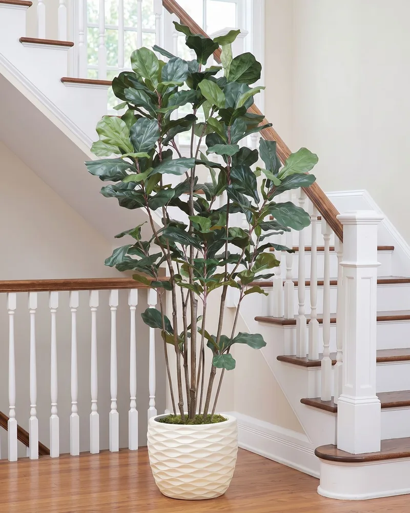 7' Fiddle Leaf Fig silk tree at the foot of a staircase in a foyer