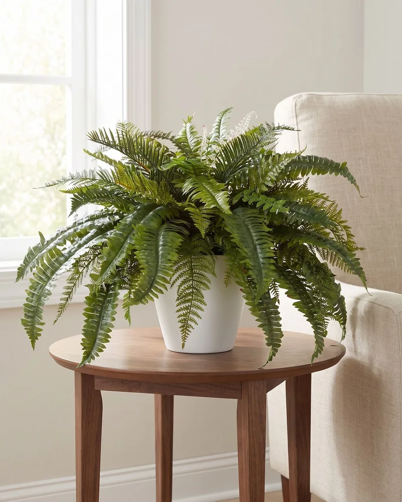 Premier Fern silk plant on a round walnut side table beside a linen armchair