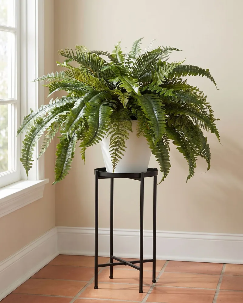 Premier Fern silk plant on a black metal plant stand in a sunroom