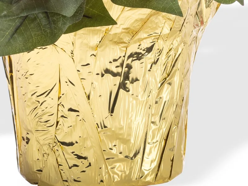 Close-up of the shiny gold foil cover on the six inch grower's pot