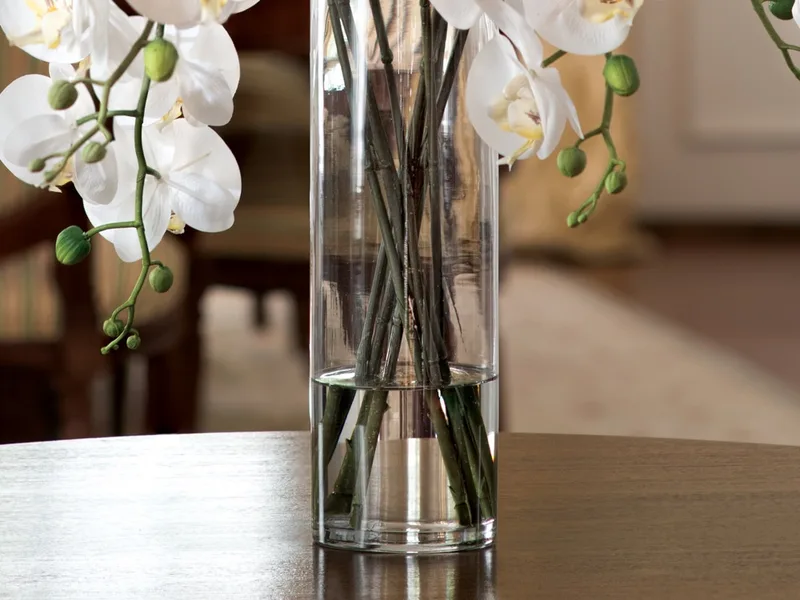 Glass cylinder vase of clear acrylic water showing the orchid stems