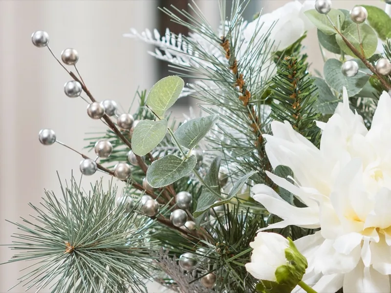 Close-up of silver berries among silk eucalyptus leaves and blue-green pine