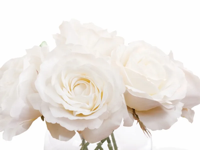 White silk roses gathered in a tight, round nosegay